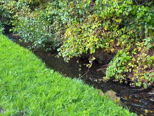 IMG_0049.JPG - 5 Zimmer Doppelhaushälfte in Helsa