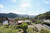 Ausblick Wohnzimmer - 