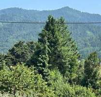 SOFORTBEZUG attraktive DG Wohnung mit Weitblick - Kirchzarten