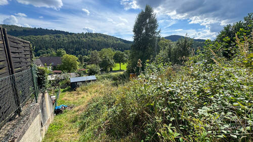 Weg zur Hütte - 