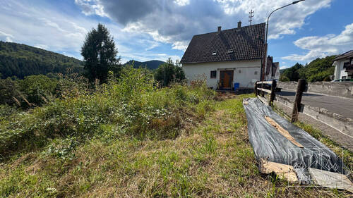 Blick nach Westen - 