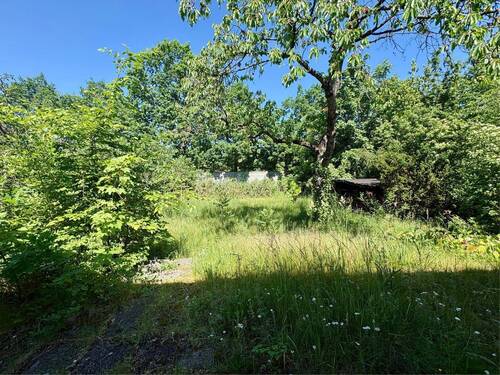 Blick von der Terrasse in den hinteren Grundstücksteil - Grundstück in Erlangen zum Kaufen