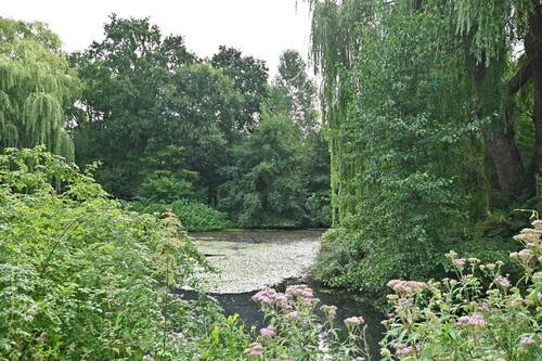 der kleine See im Park - 
