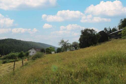 Grundstück von unten Bild 3 - 