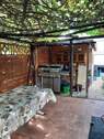 Kiwi-Pergola_Blick_Gartenhütte - 