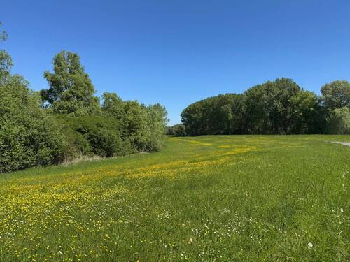 Hördter Rheinauen - 