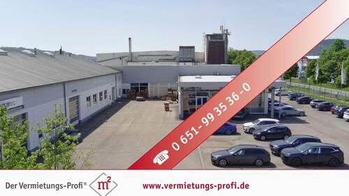 Außenansicht - Trier-Euren: Moderne, barrierefreie Halle mit 310?m² - vielseitig nutzbar, große Fensterfront, Glasbüro & neuer moderner Gasheizung