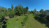 Garten.jpg - 