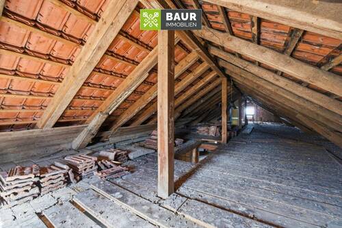 Dachspitz - 