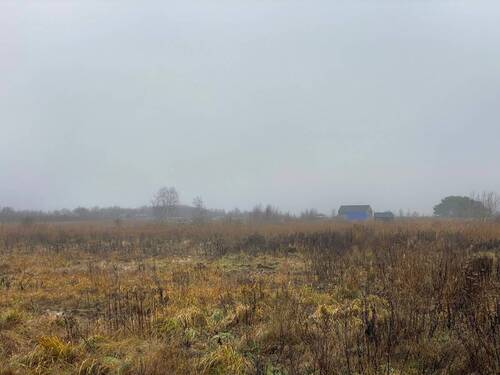 Aktueller Blick über das Grundstück - 