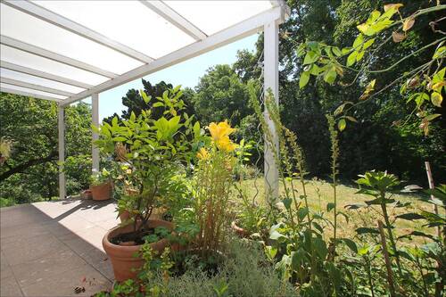 Sonnenterrasse Hinterhaus - 