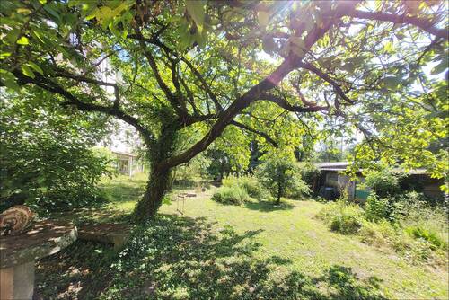 Traumgarten mit ganz vielen Möglichkeiten - 
