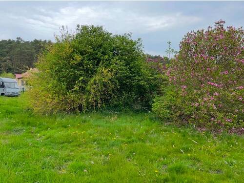 Grundstücksbewuchs - 'Ihr Traumgrundstück in Karnocice 4a - Perfekt für Wohn- oder Ferienhäuser'