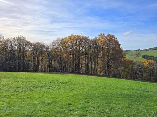 Blick auf das Grundstück 1 - 5 Zimmer Einfamilienhaus zum Kaufen in Oberpierscheid / Philippsweiler