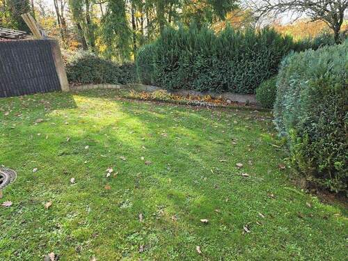 Wiese hinter dem Haus - 