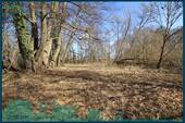 1996 Weg zum See II.jpg - 