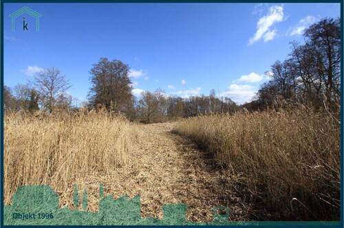 1996 Weg zum See.jpg - 