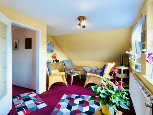 Zimmer DG - 