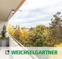 Moderne, lichtdurchflutete Wohnung mit großen Fenstern, verfügbar ab 1. April 2026 - München Bogenhausen