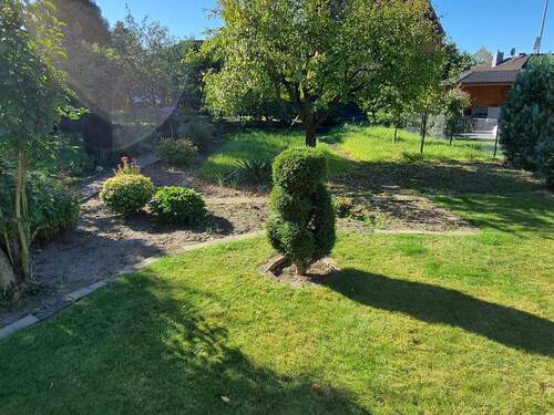 Blick in den Garten - 