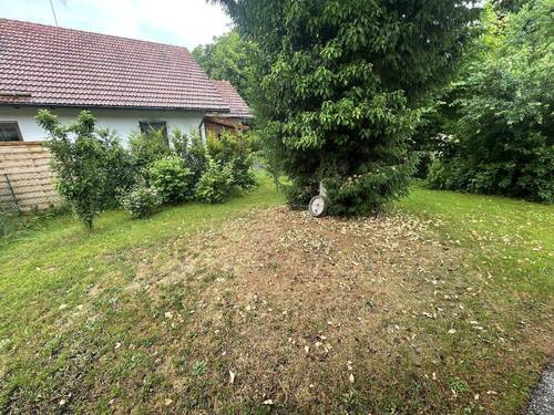 Ihr Gartenreich - NEU! Liebenswerte Gartenwohnung für Single!