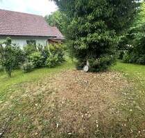 NEU! Liebenswerte Gartenwohnung für Single! - Waal
