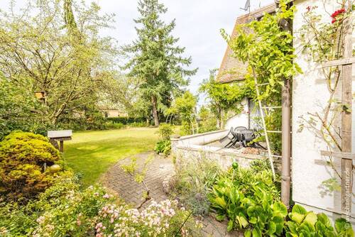 Blick in den Garten - 