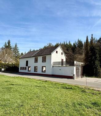 IMG_2462.jpeg - 5 Zimmer Mehrfamilienhaus, Wohnhaus zum Kaufen in Karlshausen