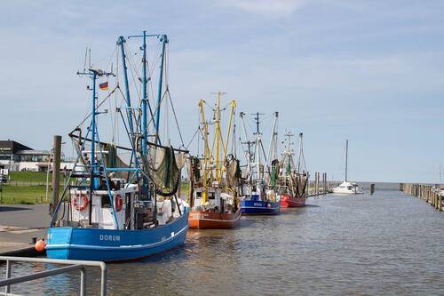Hafen Dorum-Neufeld - 
