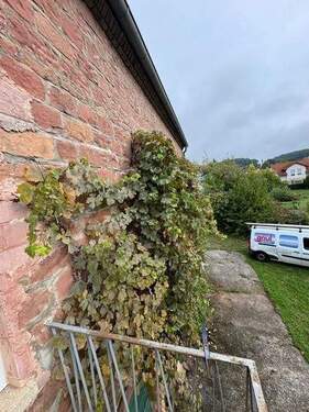 1 Rückseite Blick zum Hof - 7 Zimmer Einfamilienhaus zum Kaufen in Kaiserslautern