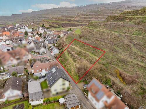 Ost-Ansicht - Grundstück zum Kaufen in Vogtsburg