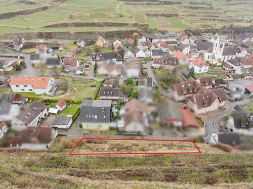 Süd-Ansicht - Grundstück in Vogtsburg zum Kaufen