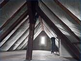 Dachspitz - 