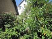 IMG_8703.JPG - 
