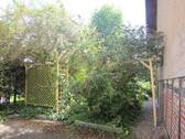 IMG_8706.JPG - 