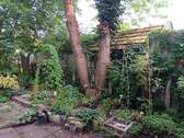 Gartenansicht - 