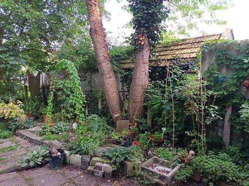Gartenansicht - 