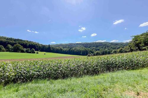 Idyllischer Ausblick - Ihr Rückzugsort im Grünen - Gestalten Sie Ihr Traumhaus in idyllischer Lage