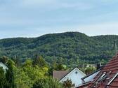 Aussicht vom Balkon aus - 