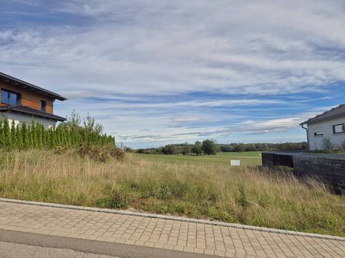 Blick von Zufahrtsstraße - Grundstück in Fahrenzhausen zum Kaufen