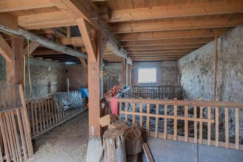 Stallungen - 