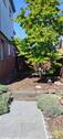 Garten_2 - 
