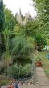 Garten im Sommer - 