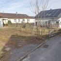 weitere Fläche mit Obstbäumen - 