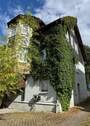 Bambus und Efeu - 