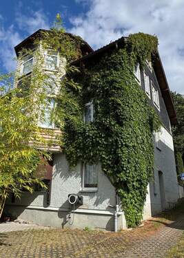 Bambus und Efeu - 