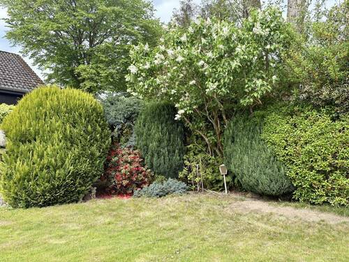 Garten - 