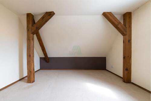 Zimmer DG - 