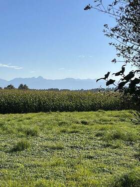 Ausblick - 2 Einheiten - ca. 450m² Nfl. - über 1.400m² GS