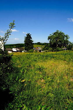 Blick Richtung Eifel - Grundstück zum Kaufen in Hilgert